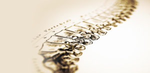 Clear Lake Chiropractic Healthcare